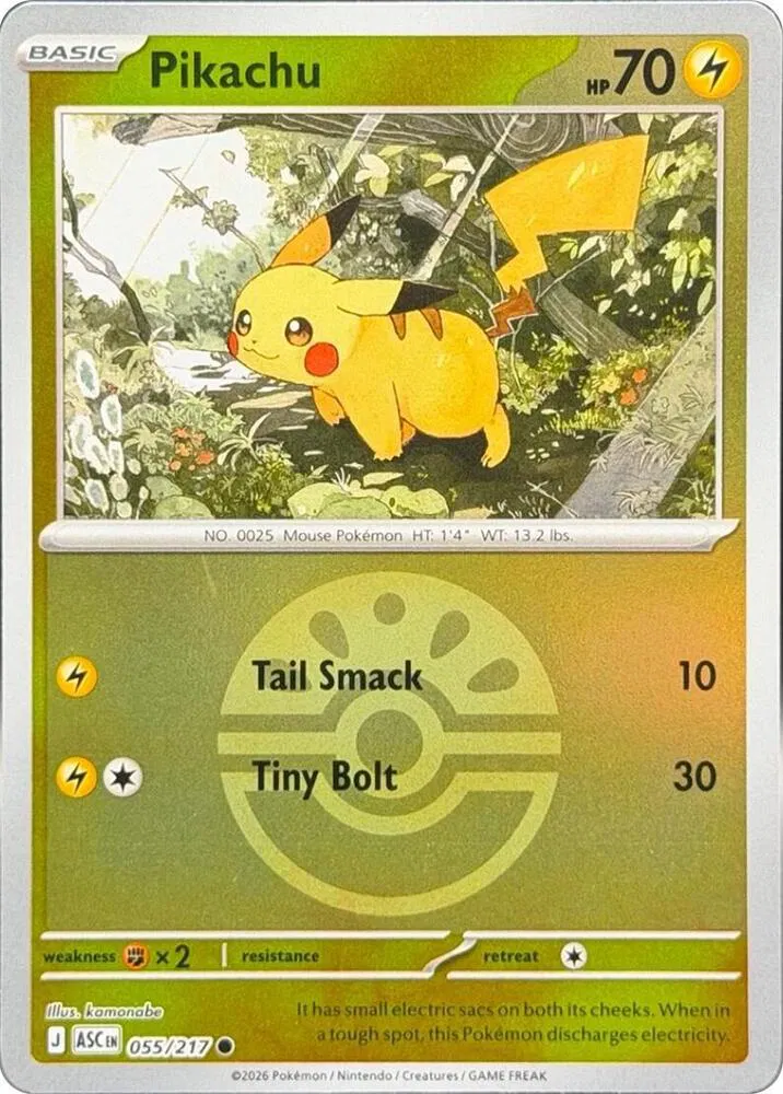Pikachu (Friend Ball) 