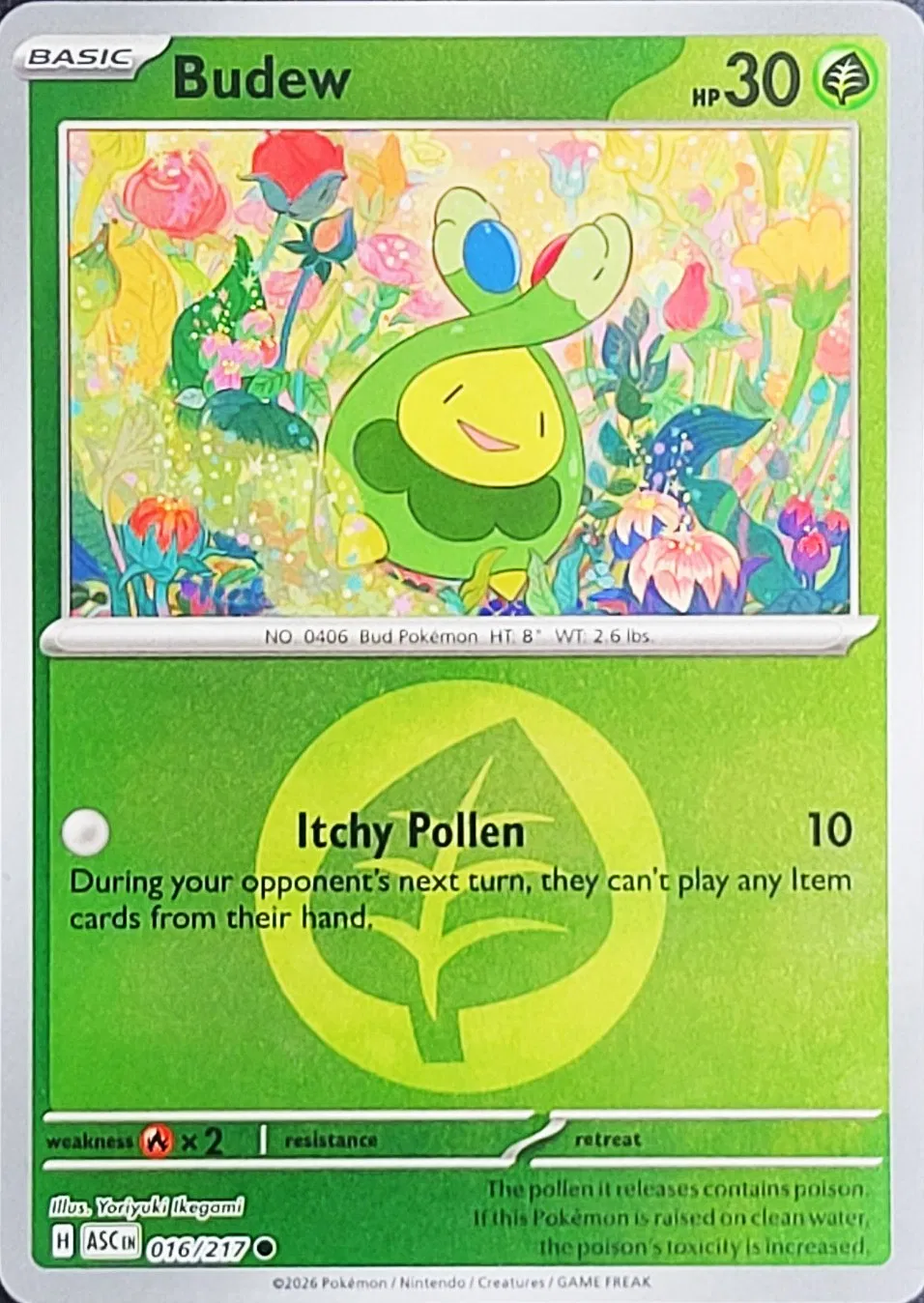 Budew (Energy Symbol Pattern) 