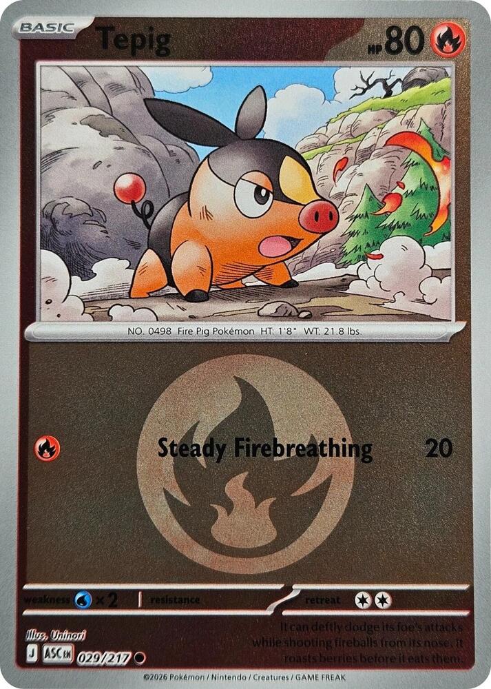 Tepig (Energy Symbol Pattern) 
