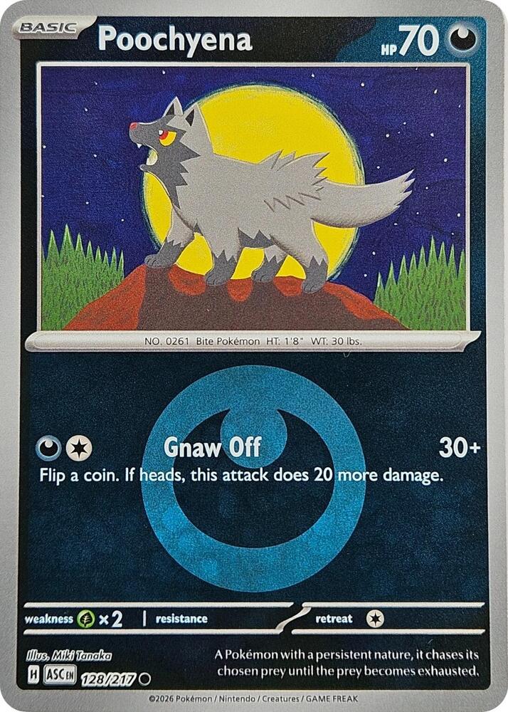 Poochyena (Energy Symbol Pattern) 