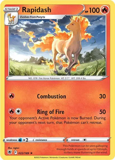 Rapidash 
