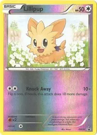 Lillipup 