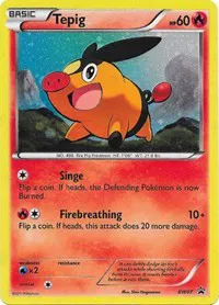 Tepig (BW07) 