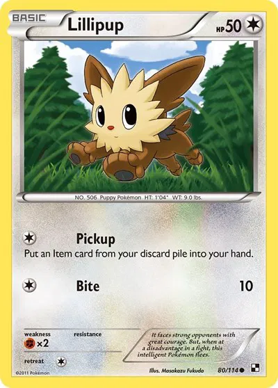 Lillipup (80) 