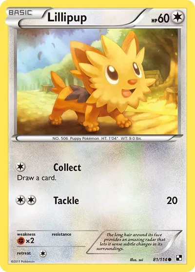 Lillipup (81) 