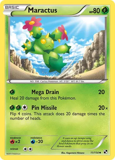 Maractus 