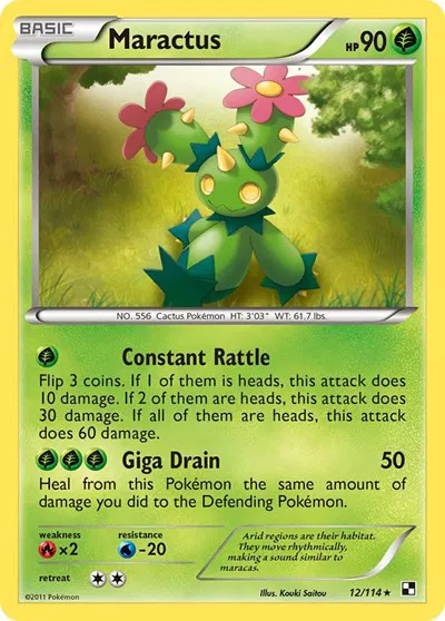 Maractus 