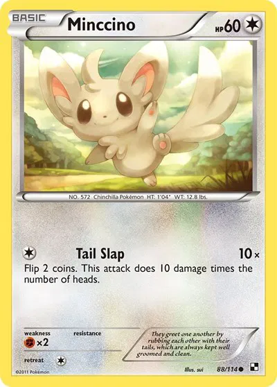 Minccino 