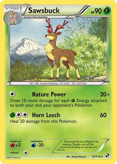 Sawsbuck 