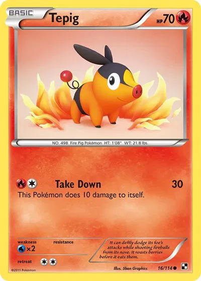 Tepig (16) 