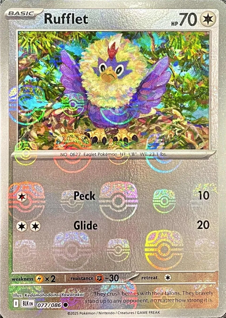 Rufflet (Master Ball Pattern) 