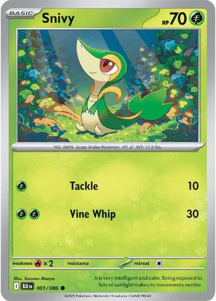 Snivy 