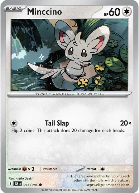 Minccino 