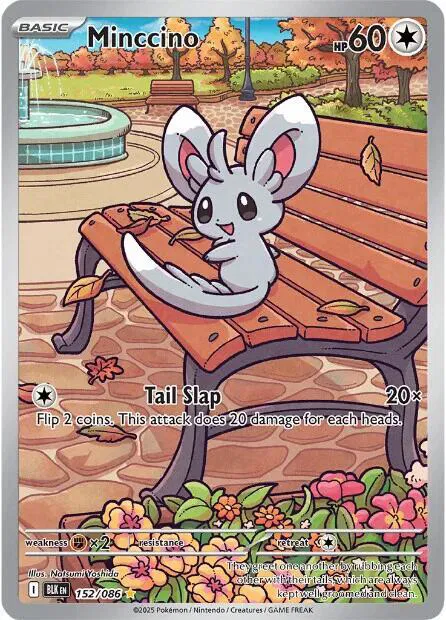 Minccino 