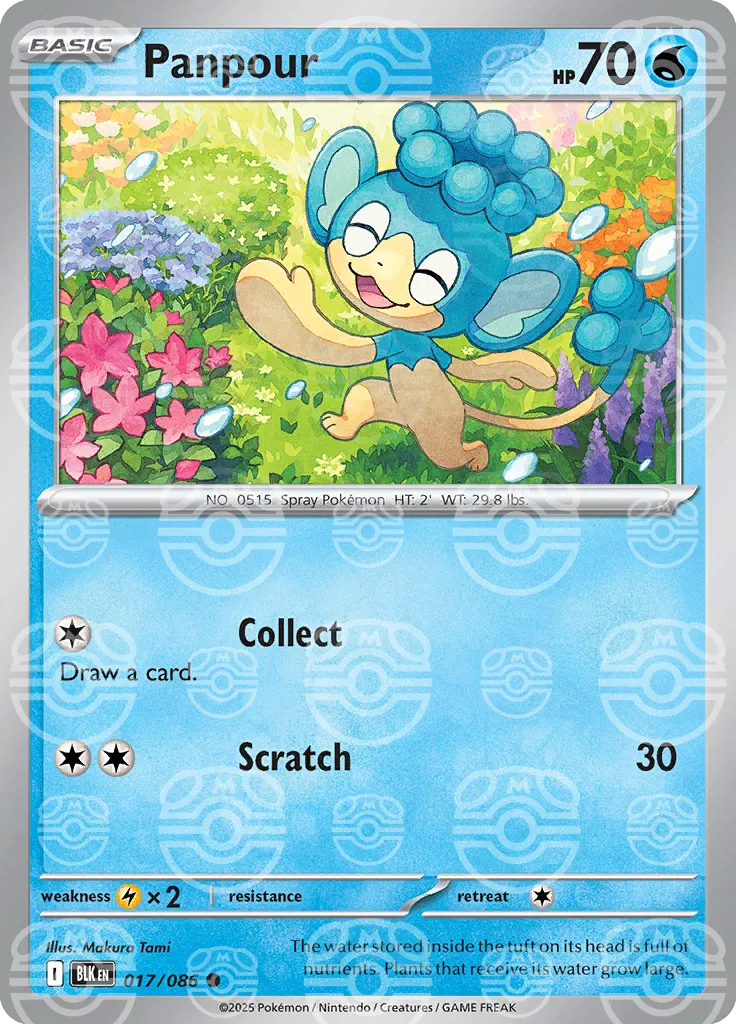 Panpour (Master Ball Pattern) 
