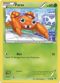 Paras 