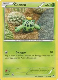 Cacnea 
