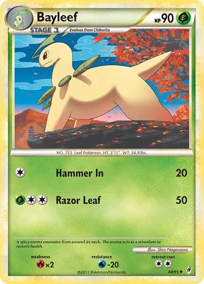 Bayleef 