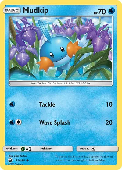Mudkip (33) 