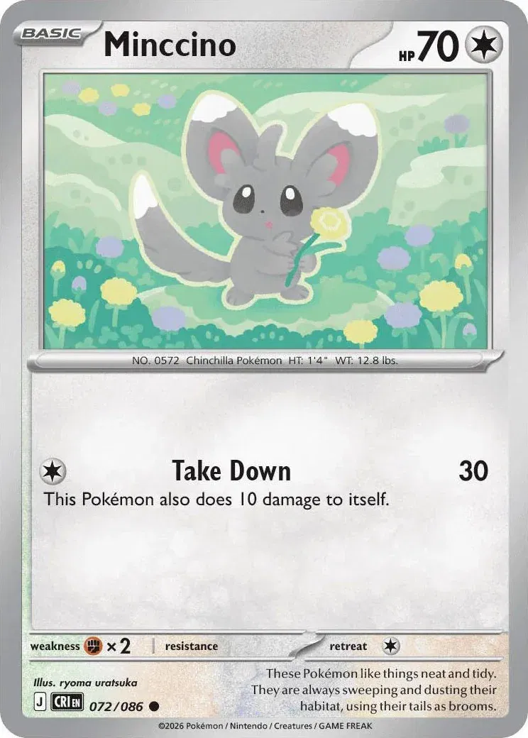 Minccino 