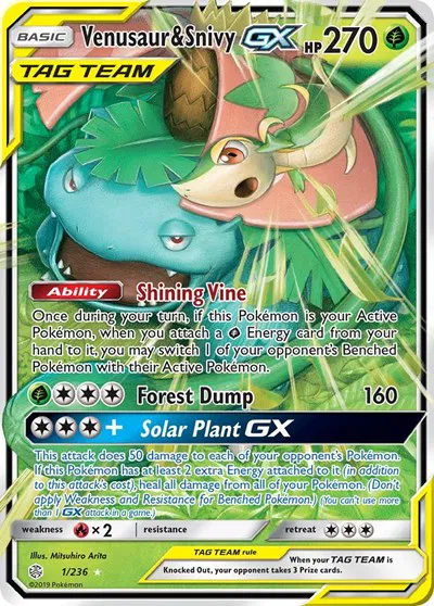 Venusaur & Snivy GX 