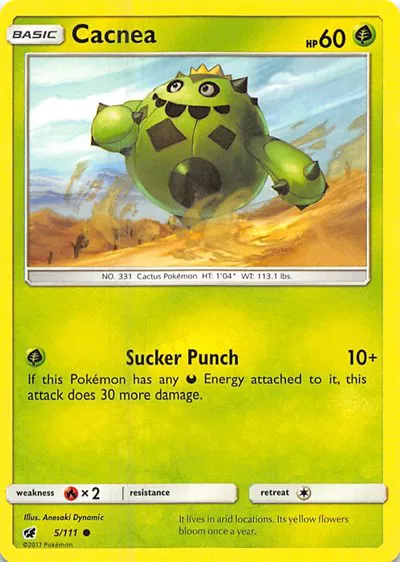 Cacnea 