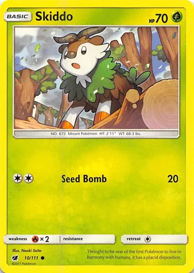 Skiddo 