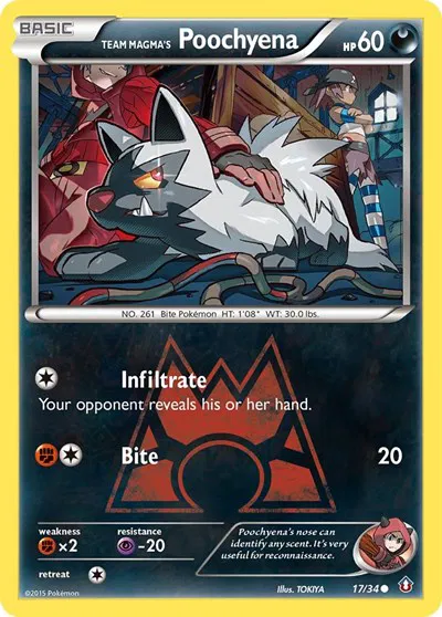 Team Magma's Poochyena 