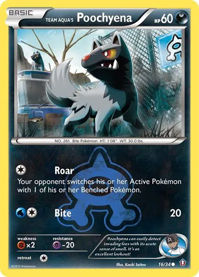 Team Aqua's Poochyena 