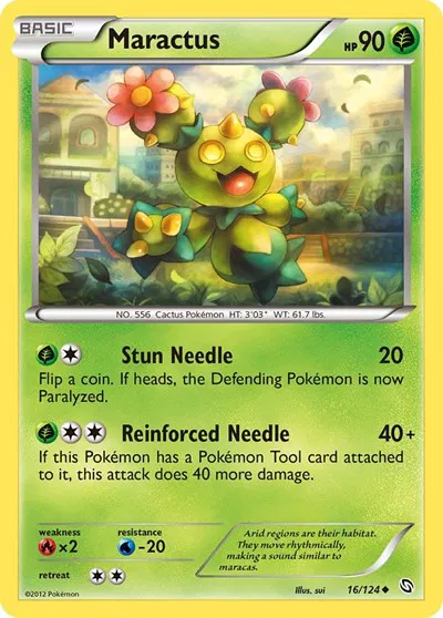 Maractus 