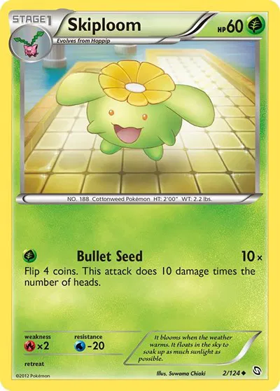 Skiploom 