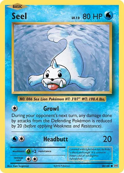 Seel 