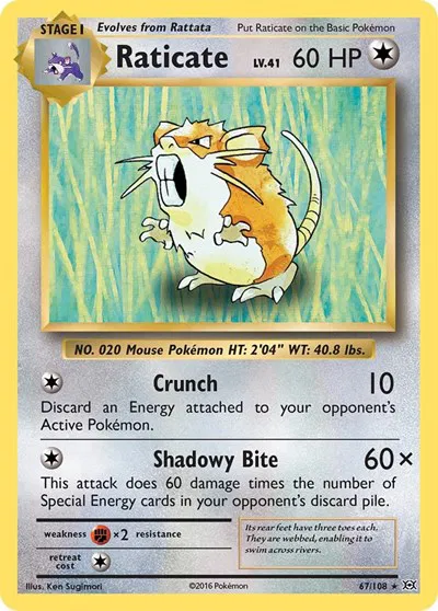 Raticate 