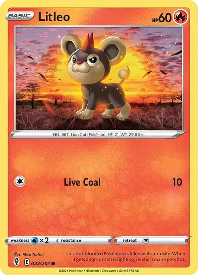 Litleo 