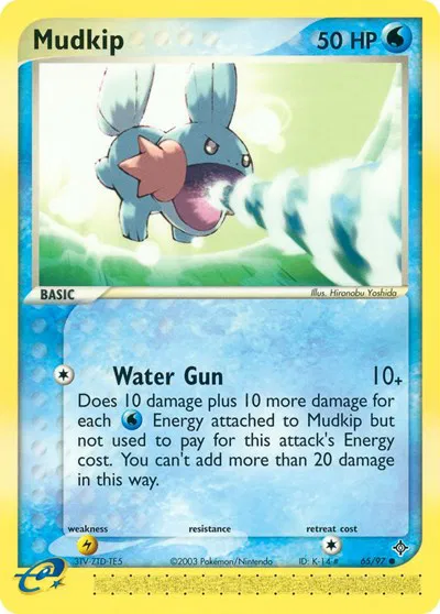 Mudkip 