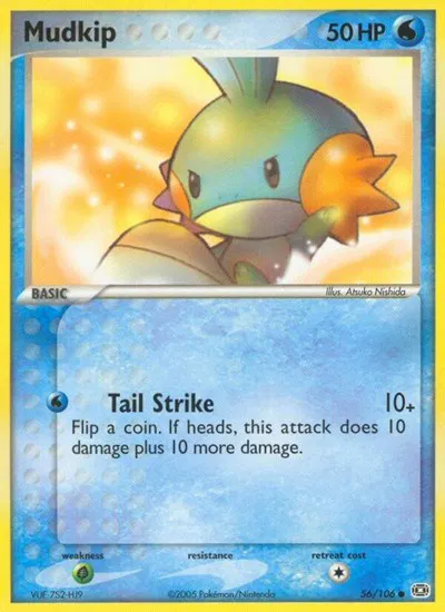 Mudkip 