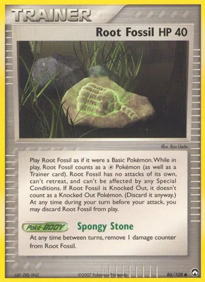 Root Fossil 