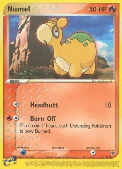Numel 