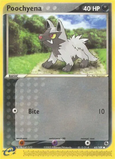 Poochyena (63) 