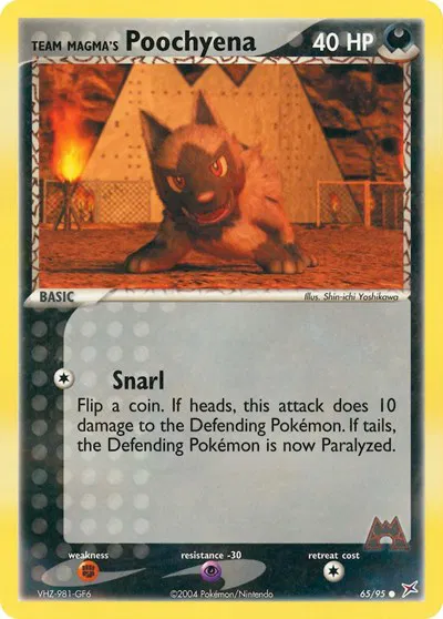 Team Magma's Poochyena (65) 