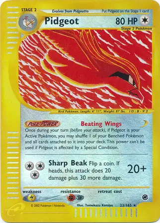 Pidgeot (23) 
