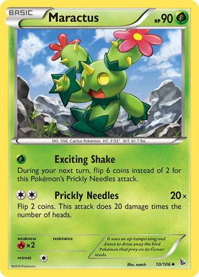 Maractus 