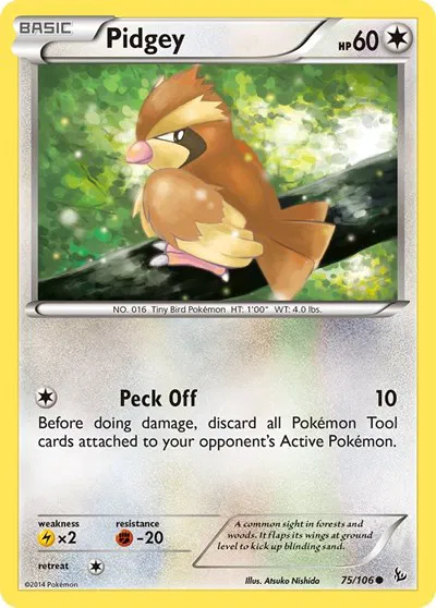 Pidgey 