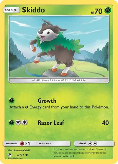 Skiddo 