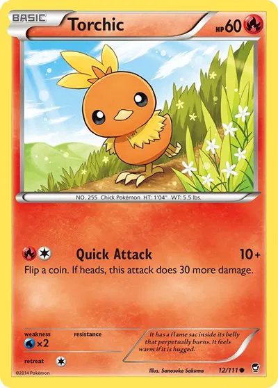 Torchic 