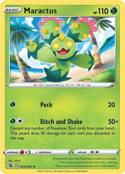 Maractus 