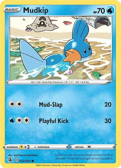 Mudkip 
