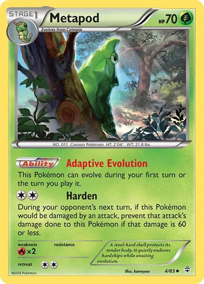 Metapod 
