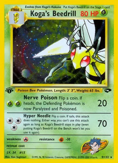 Koga's Beedrill 