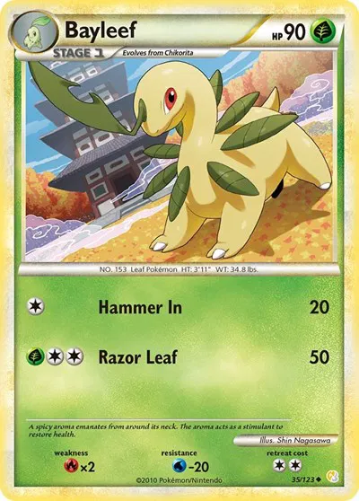 Bayleef 